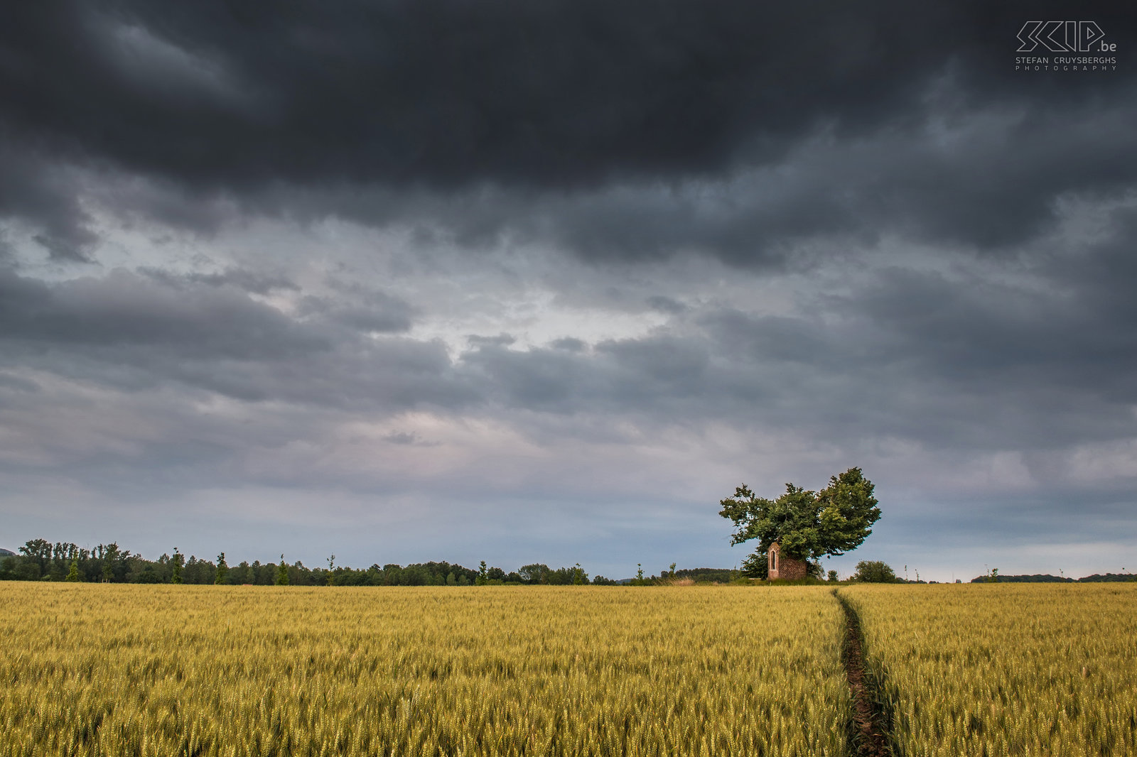 Sint-Pieters-Rode - St Joseph's chapel before a storm The castle and the chapel of Horst are photogenic landmarks near my new home. So in recent months I went out to photograph them several times, mostly in the evening and at night or when there were special weather conditions. I tried to create some unique photos of these monuments that differ from the images that already have been captured by many other people.<br />
 <br />
The small chapel of Saint Joseph is located in a field under an old lime tree nearby the castle. It has been built in the beginning of the 19th century. I went out when there were threatening clouds and 5 minutes after this shot there were heavy rainshowers. Stefan Cruysberghs